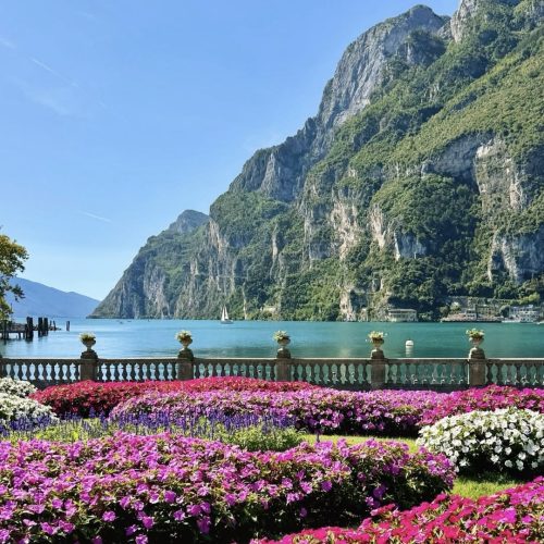 IMG_1511